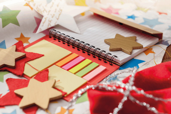 MAGNY - Notitieboekje van gerecycled papier met balpen